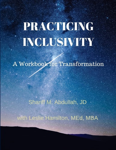 Practicing Inclusivity A Workbook for Transformation