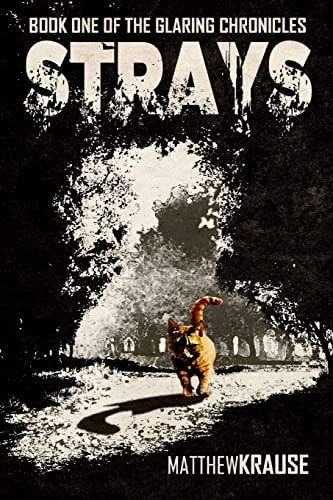 Strays Book One of The Glaring Chronicles