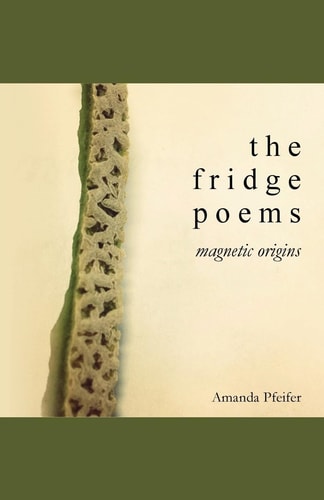 The Fridge Poems Magnetic Origins