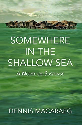 Somewhere in the Shallow Sea A Novel of Suspense