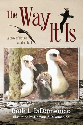The Way It Is A Book of Fiction Based on Fact