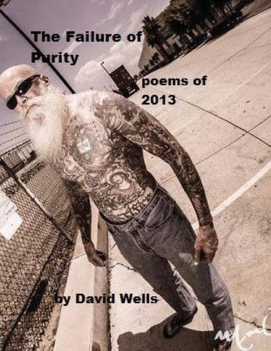The Failure of Purity Poems Of 2013
