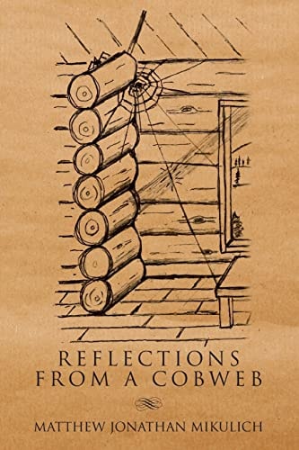 Reflections From A Cobweb