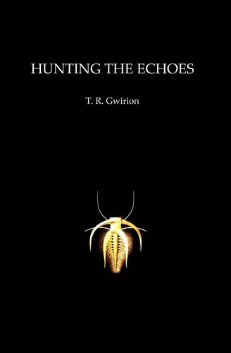 Hunting the Echoes