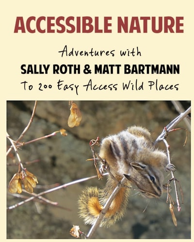 Accessible Nature