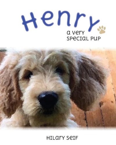Henry A Special Pup