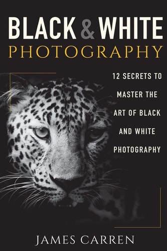 Black And White Photography 12 Secrets to Master The Art of Black And White Photography