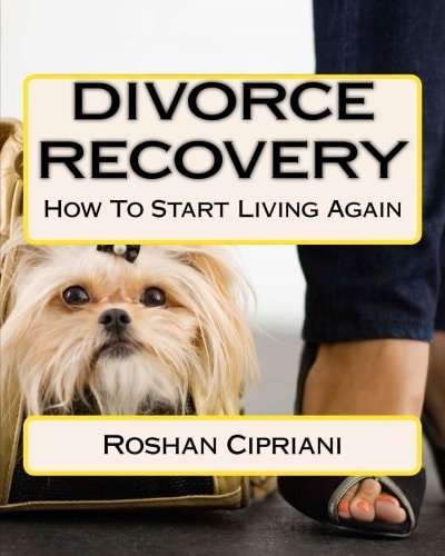 Divorce Recovery How To Start Living Again