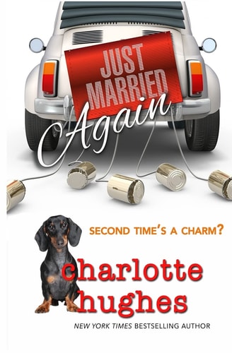 Just Married Again Romantic Comedy