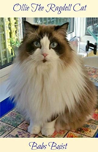Ollie The Ragdoll Cat A Book for Cat Lovers of All Ages