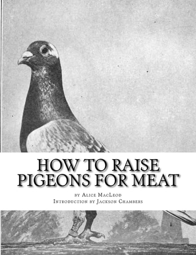 How To Raise Pigeons For Meat Raising Pigeons for Squabs Book 10