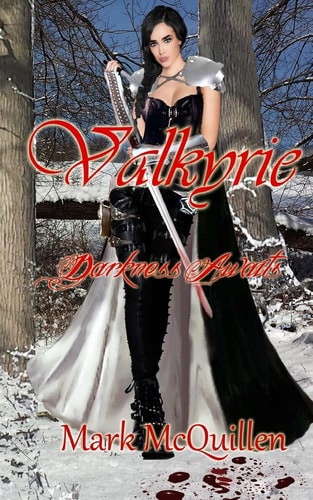 Valkyrie Darkness Awaits