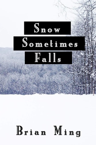 Snow Sometimes Falls A Novel