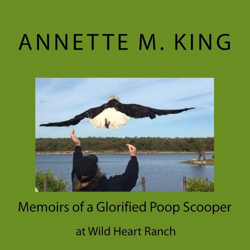Memoirs of a Glorified Poop Scooper at Wild Heart Ranch