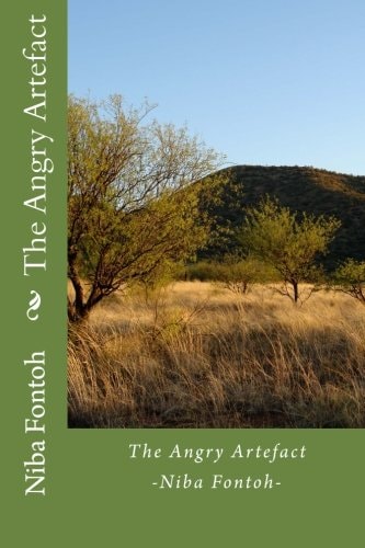 The Angry Artefact