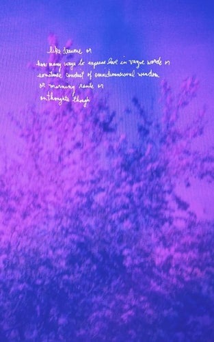 Like Dreams Or How Many Ways to Express Love in Vague Words Or Sometimes Conduit of Omnidimensional Wisdom Or Morning Rants Or on Thoughts Though