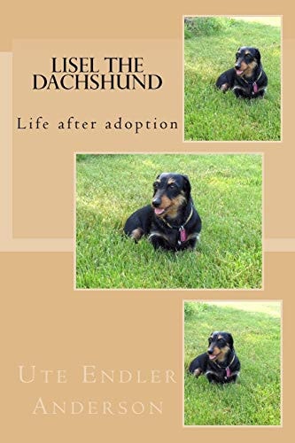 Lisel the Dachshund Life After Adoption