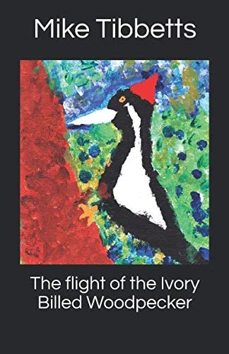 The Flight of the Ivory Billed Woodpecker