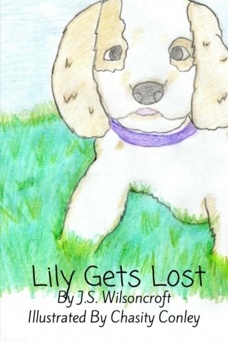 Lily Gets Lost