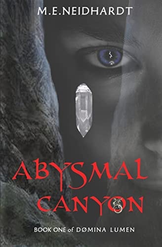 Abysmal Canyon A Young Adult/New Adult Crossworlds Science Fantasy Novel (Domina Lumen Book 1)