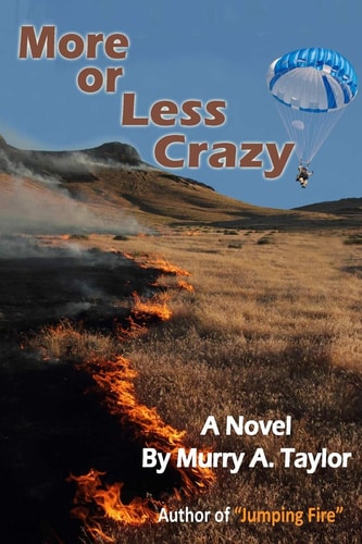 More Or Less Crazy