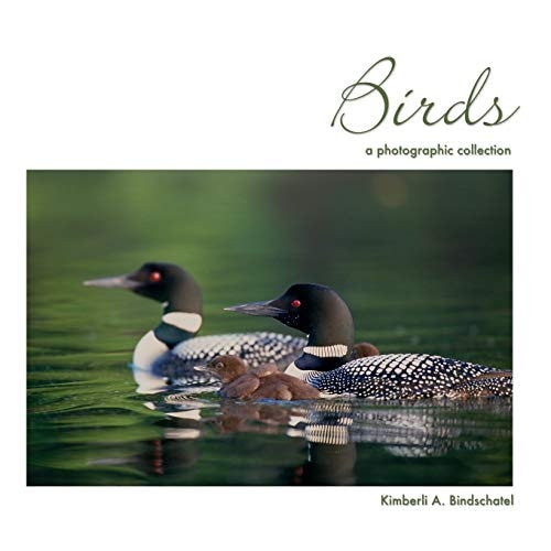 Birds A Photographic Collection