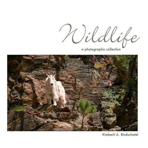 Wildlife A Photographic Collection