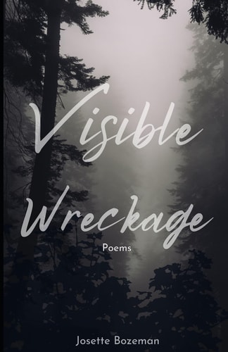 Visible Wreckage Poems