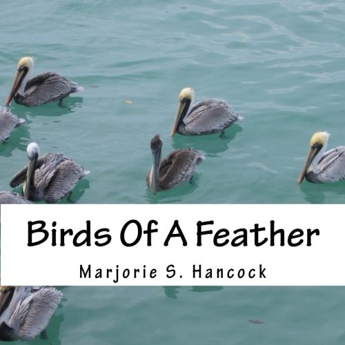 Birds Of A Feather Book of Poems for Young Readers. Each Poem Gives a Fact about the Bird in the Poem.