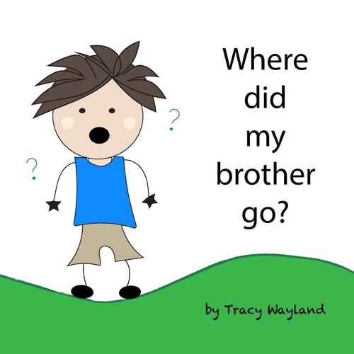 Where Did My Brother Go? Coping with Grief Through Imagination