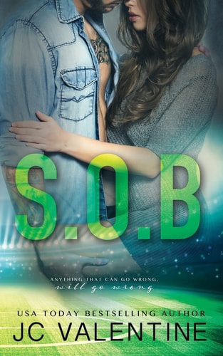 S.O.B. A Stepbrother Romance