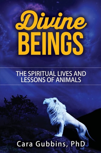Divine Beings The Spiritual LIves and Lessons of Animals