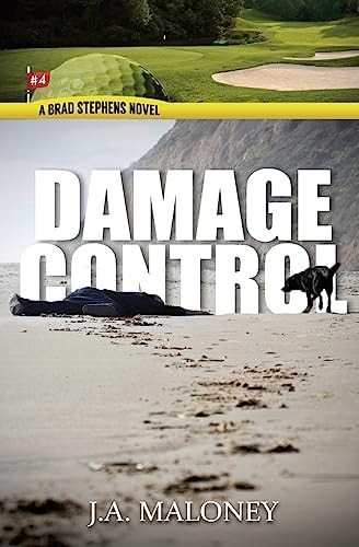 Damage Control A Brad Stephens Novel. Hole #4