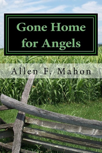 Gone Home for Angels A Novel of the American Civil War