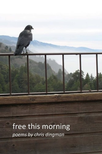 Free This Morning Poems by Chris Dingman
