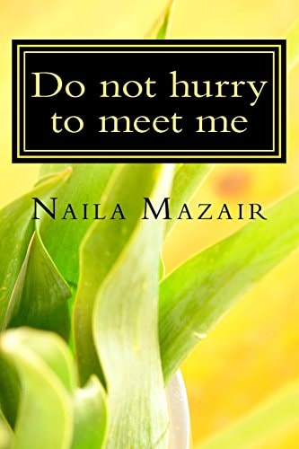 Do Not Hurry to Meet Me Dream Within a Dream