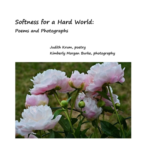 Softness for a Hard World Poems and Photographs