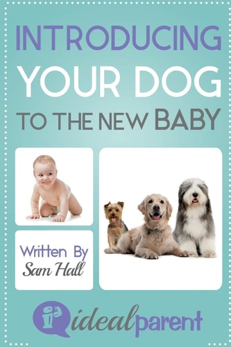Introducing Your Dog To The New Baby Illustrated, Helpful Parenting Advice for Nurturing Your Baby Or Child by Ideal Parent