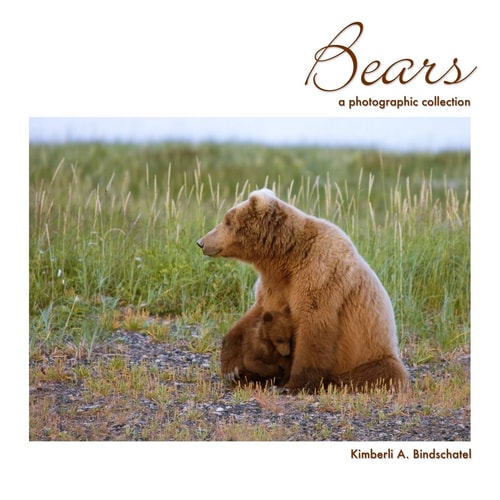 Bears A Photographic Collection