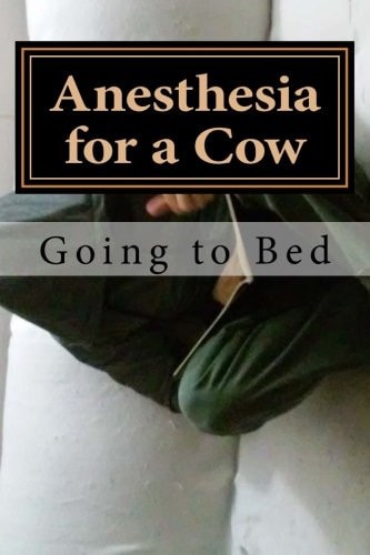 Anesthesia for a Cow Going to Bed