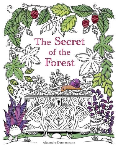 The Secret of the Forest Search for the Hidden Pieces of Jewellery. a Colouring Book for Adults