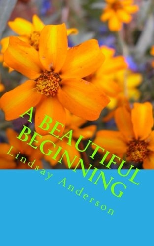 A Beautiful Beginning