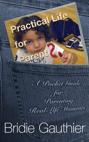 Practical Life for Parents A Pocket Guide for Parenting Real Life Moments