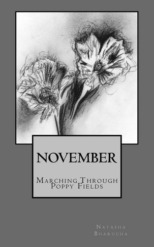November Marching Through Poppy Fields