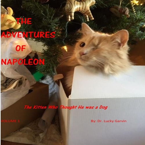 The Adventures of Napoleon The Kitten Who Thought He Was a Dog