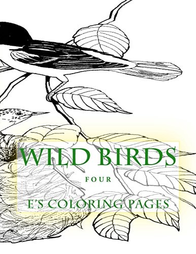 WILD BIRDS Four