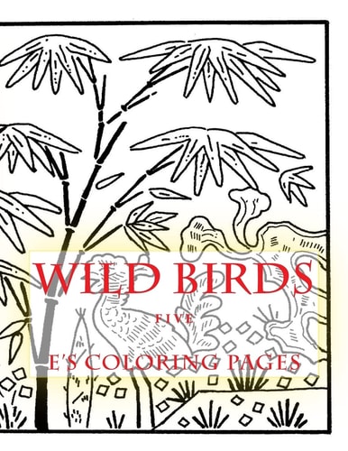 WILD BIRDS Five