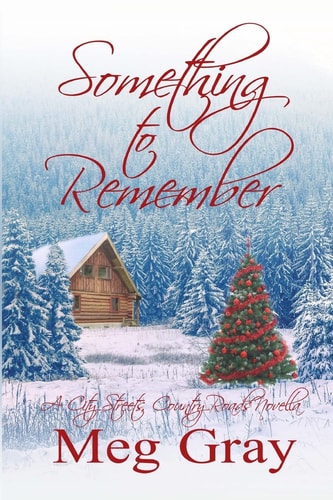 Something to Remember A City Streets, Country Roads Novella