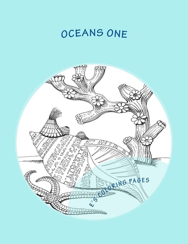 OCEANS One