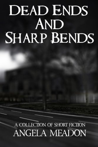 Dead Ends and Sharp Bends A Collection of Short Fiction